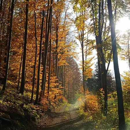 Pod Bukem * Bystrice (Moravia-Silesia)